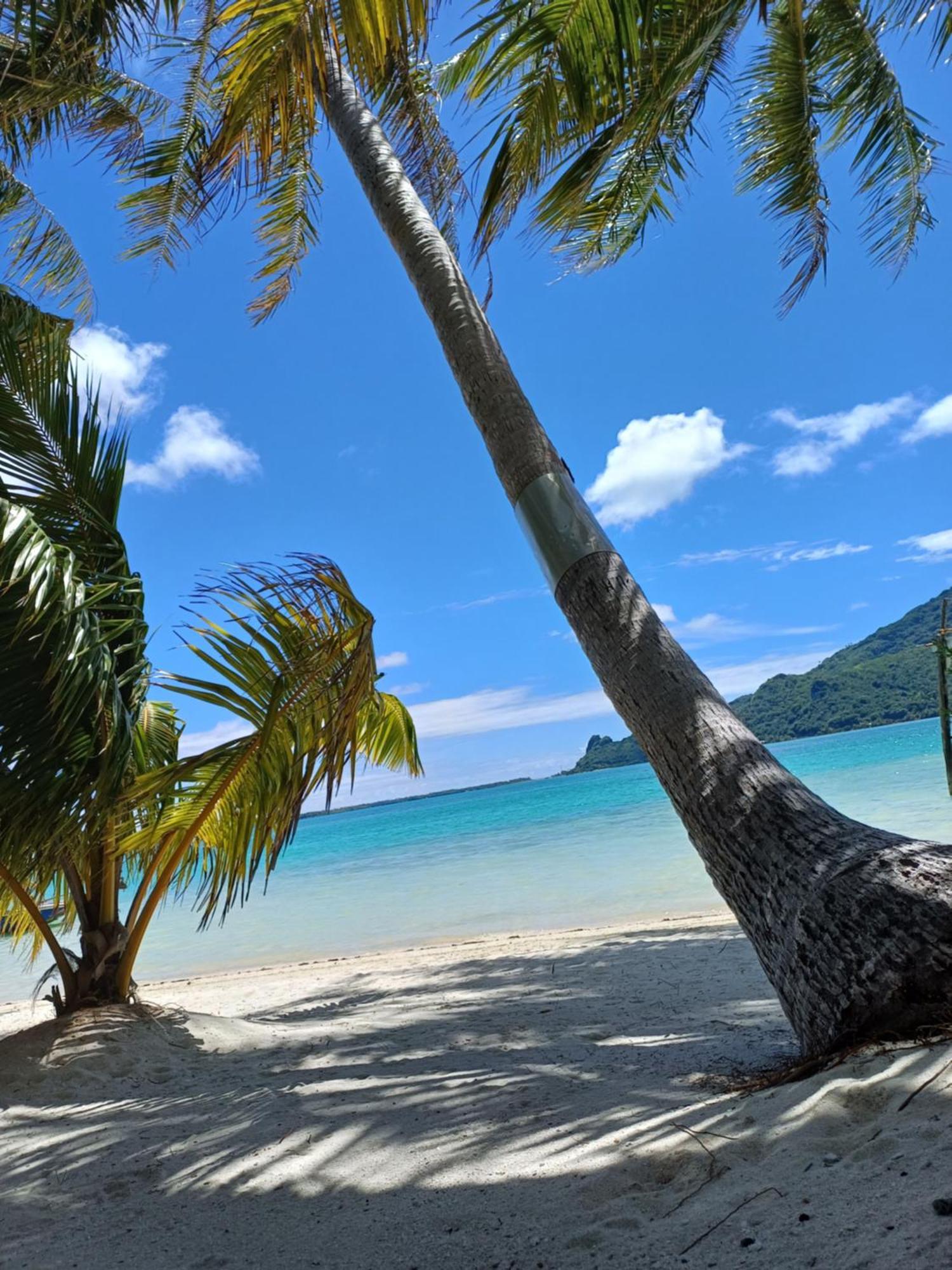 Poemanahere Island Camping A Maupiti Te-Fare-Arii Esterno foto
